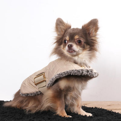 Luxe Jas Chihuahua in Beige - Inamorada