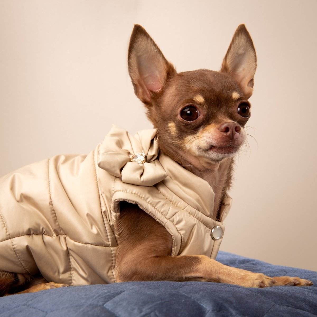 Coat Sunny in Beige - Charlotte's Dress