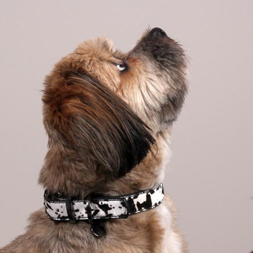 Dalmatier Halsband in Zwart Wit - Milk & Pepper