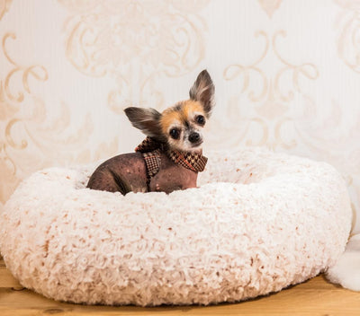 Donut in Beige - Susan Lanci Designs