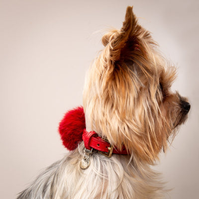 Fluffy Halsband in Leer Lipstick Rood - Not Too Pet