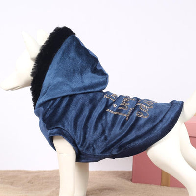 I Am A Limited Edition Sweater in Blauw - I Love My Dog