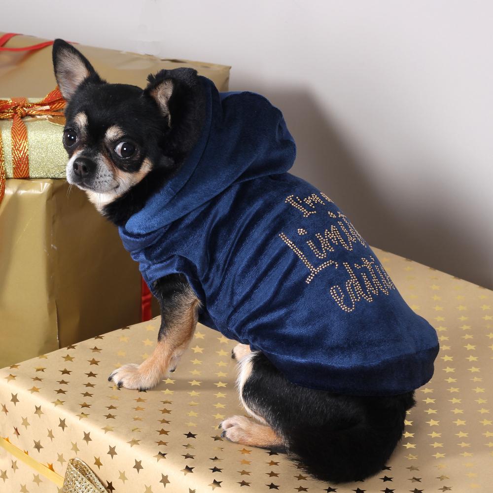 I Am A Limited Edition Sweater in Blauw - I Love My Dog