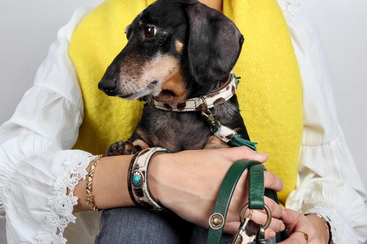 Ivy Halsband incl. gratis Ivy Vriendschap Armband - Dog With a Mission