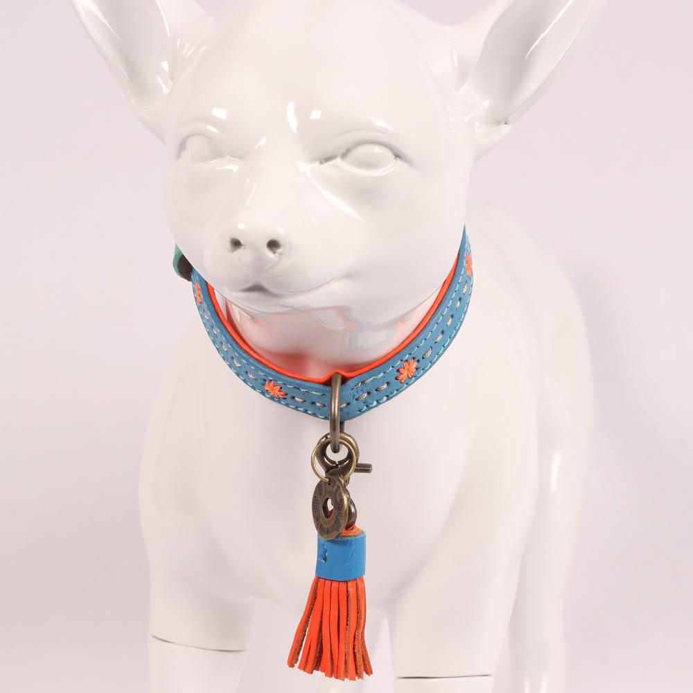 Jones Halsband - Dog With a Mission