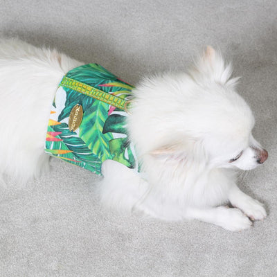 Jungle Tuigje in Holo Groen - Inamorada
