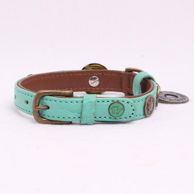 Rebel Halsband in Leer Turquoise - Dog With a Mission