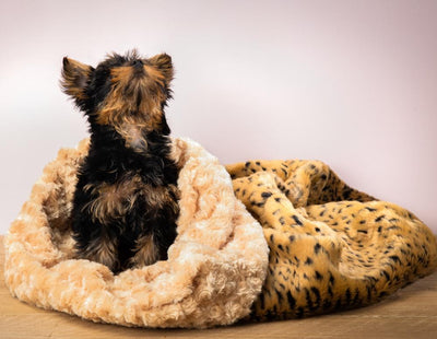Soft Cosy Cuddle in Leopard - Susan Lanci Designs