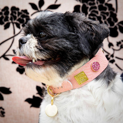 Think Pink Halsband - DogitaNL